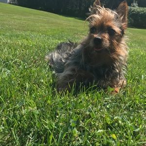 Meet your Posher, Shlomo